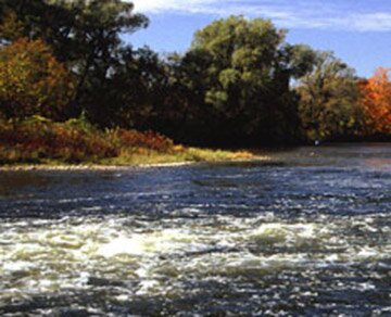 Saugeen River