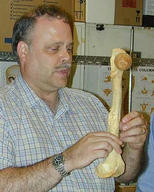 Courtesy of Smithsonian