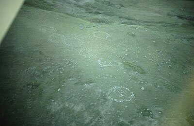 Courtesy of Royal Saskatchewan Museum